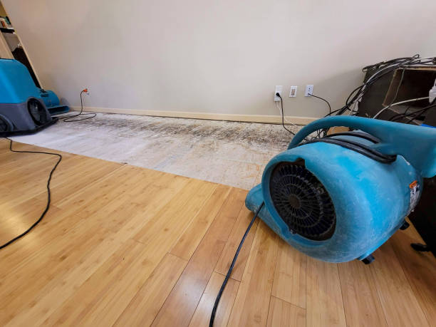 Professional Emergency Water Damage technician working in Touchet, WA